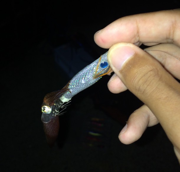 マイクロサイズのイカ