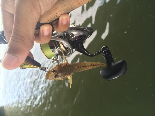 ハゼクランクイメージ