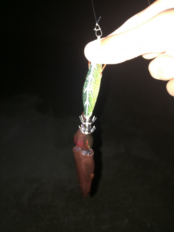 ライトケンサキイメージ