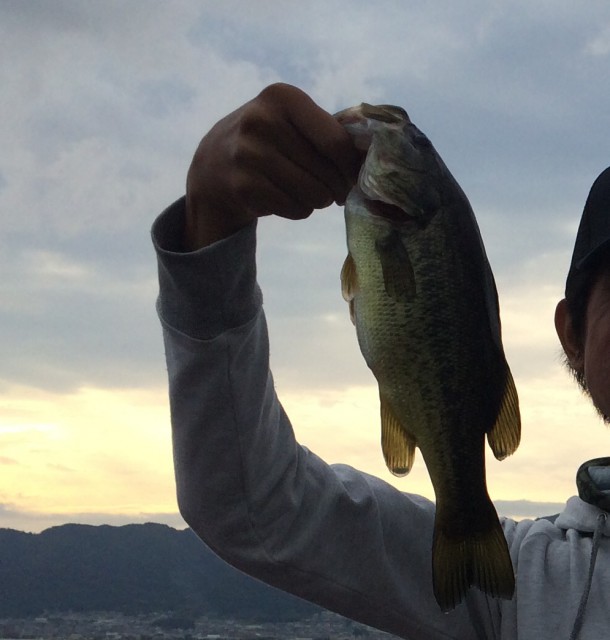 普通サイズのバス