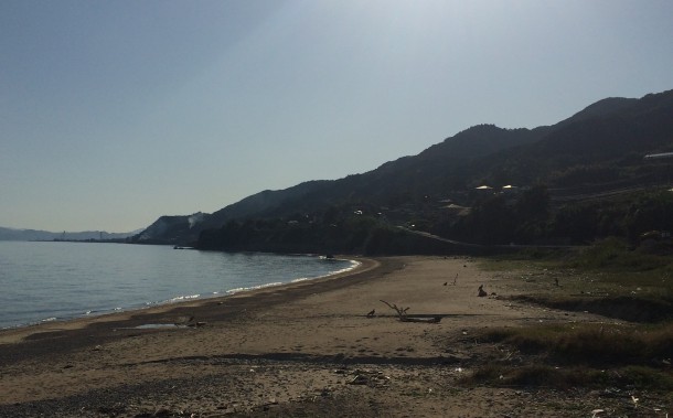 サーフエギングも出来そう