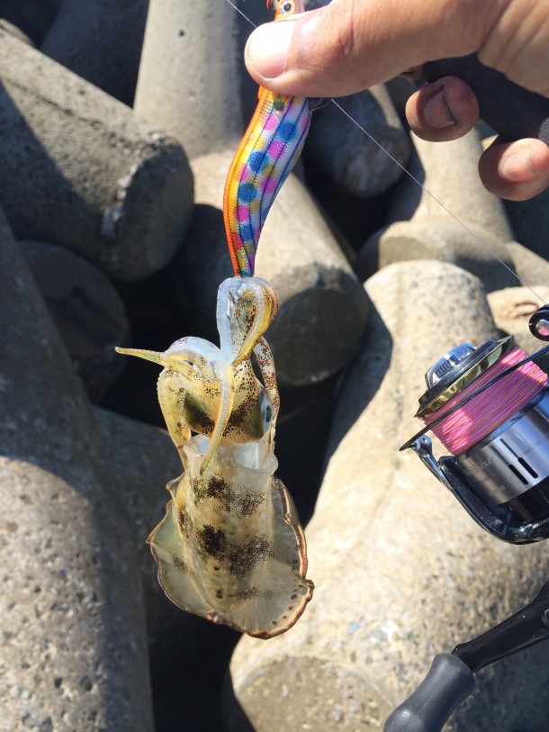 テクニカルなエギング