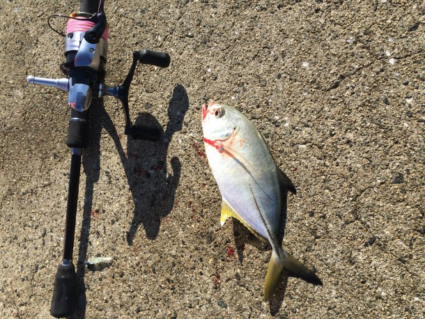 メッキのイメージ