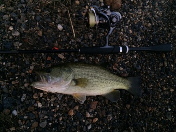 和邇川でバス釣りイメージ