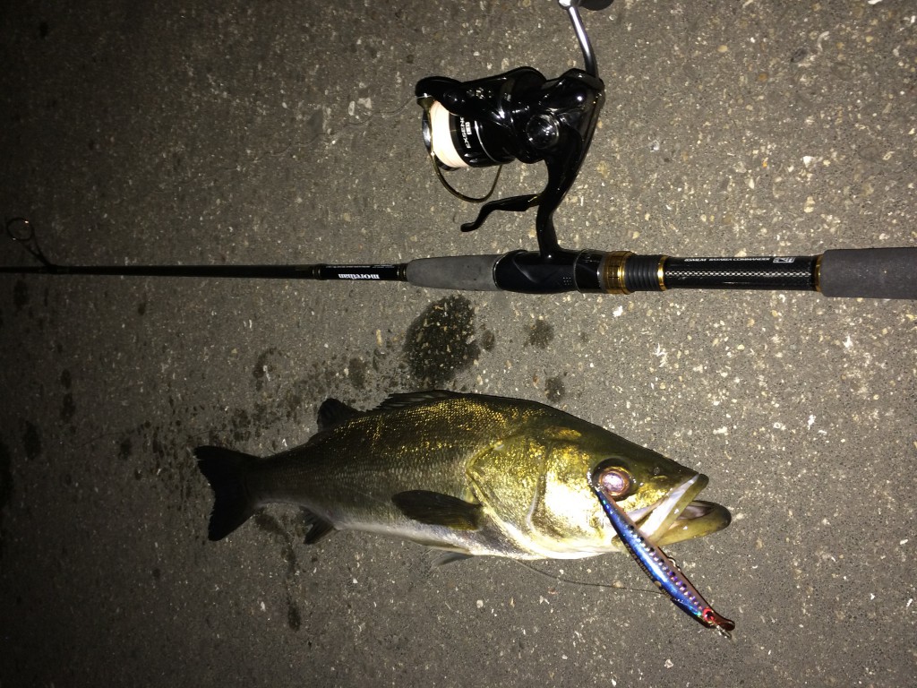 サスケで釣ったシーバス