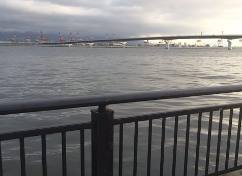 神戸空港の釣り場イメージ