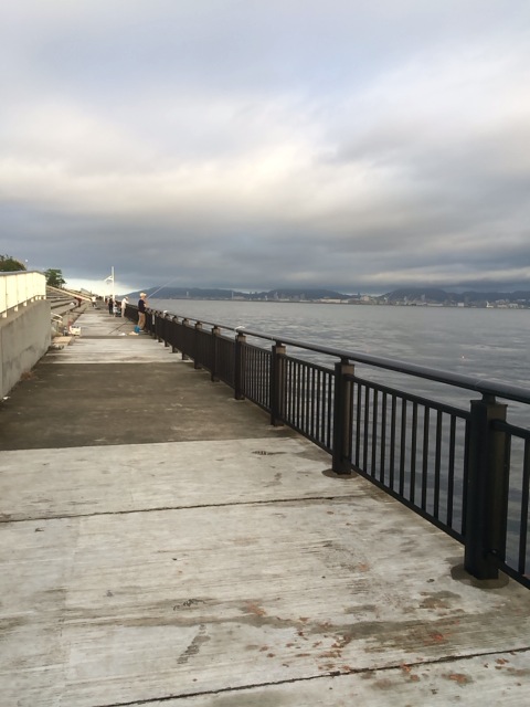 神戸空港ベランダ写真２