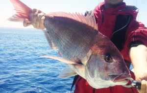 ひとつテンヤイメージ