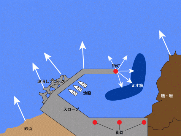 エギングマップ