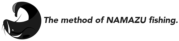 ナマズイメージ