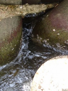 テトラの穴画像