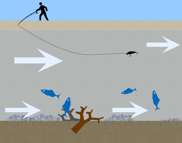 テクトロイメージ