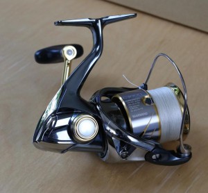 右から見たステラ