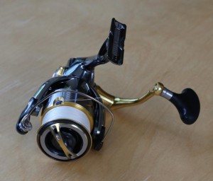 前から見たステラ