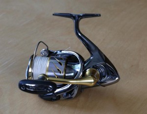 左から見たステラ