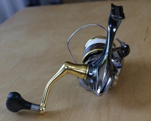 後ろから見たステラ