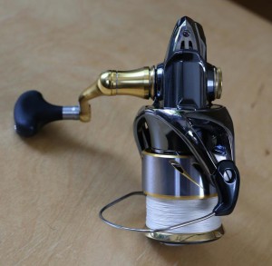 下から見たステラ