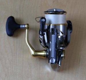 上から見たステラ