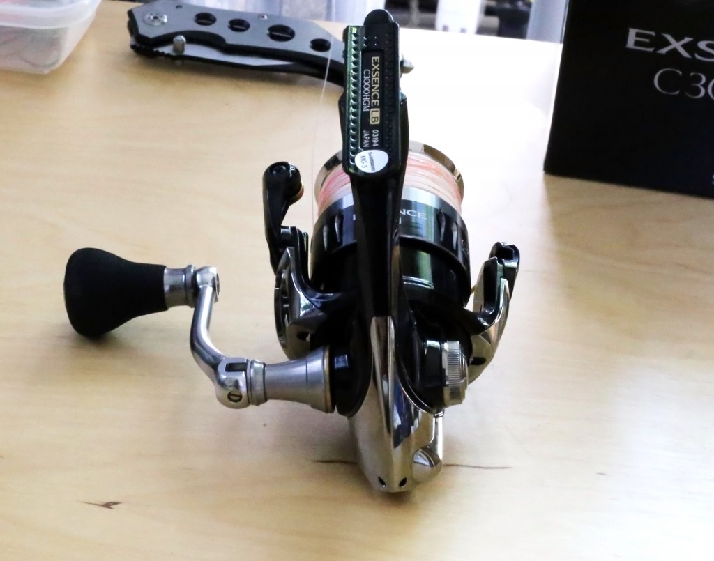 エクセンスを後ろから