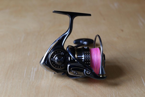 イグジスト右サイドから