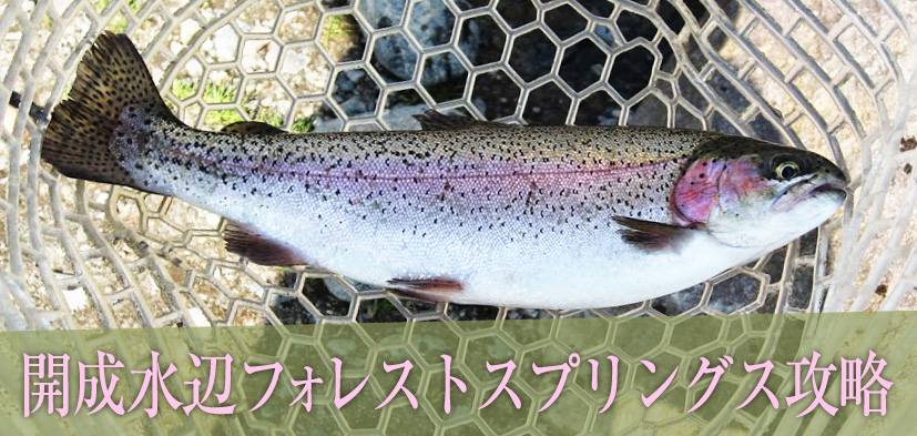 開成水辺フォレストスプリングス攻略