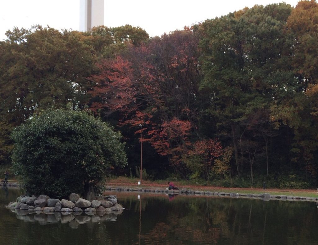 ベリーパークinフィッシュオン！王禅寺で釣れるルアーと攻略法