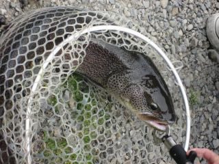 ベリーパークイメージ