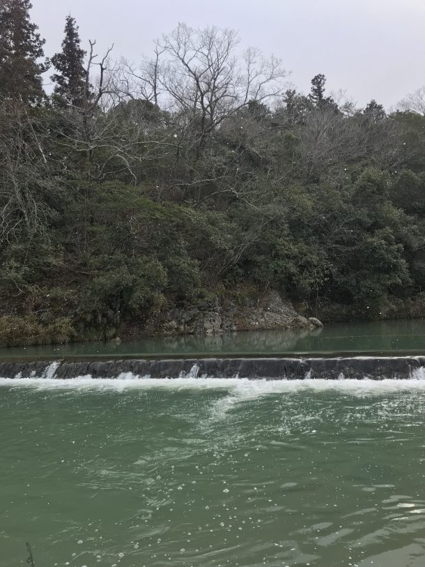 北田原マス釣り場の様子
