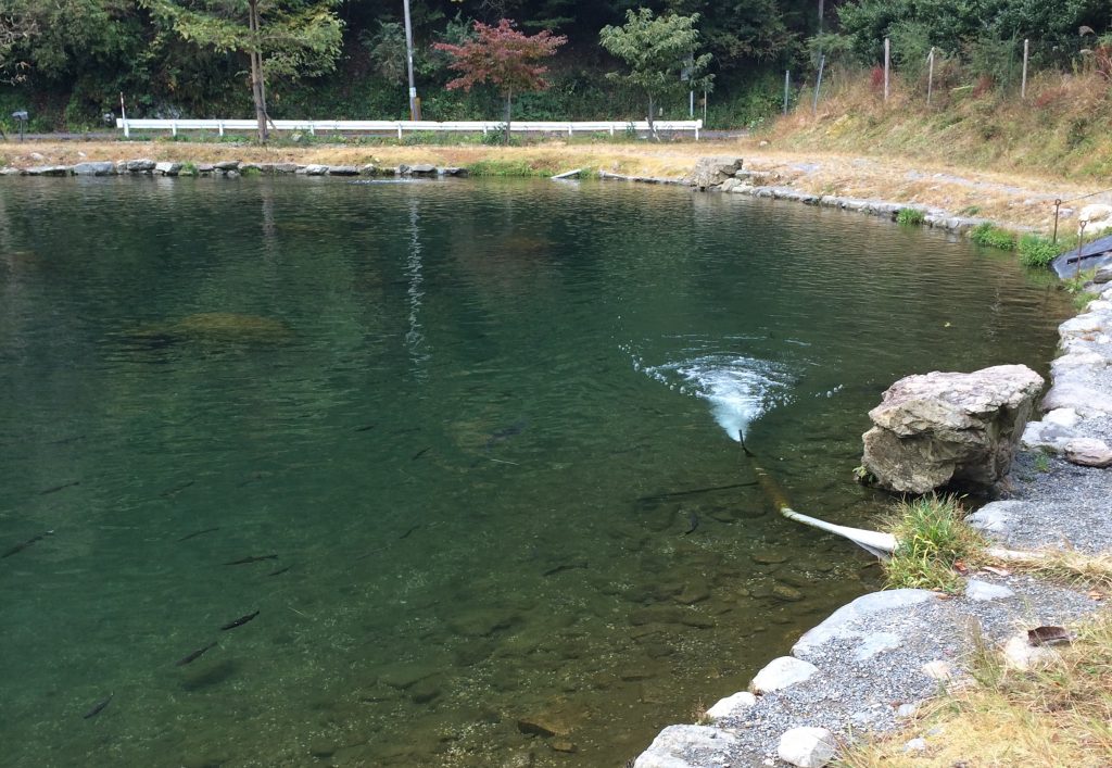 朽木渓流魚センターイメージ