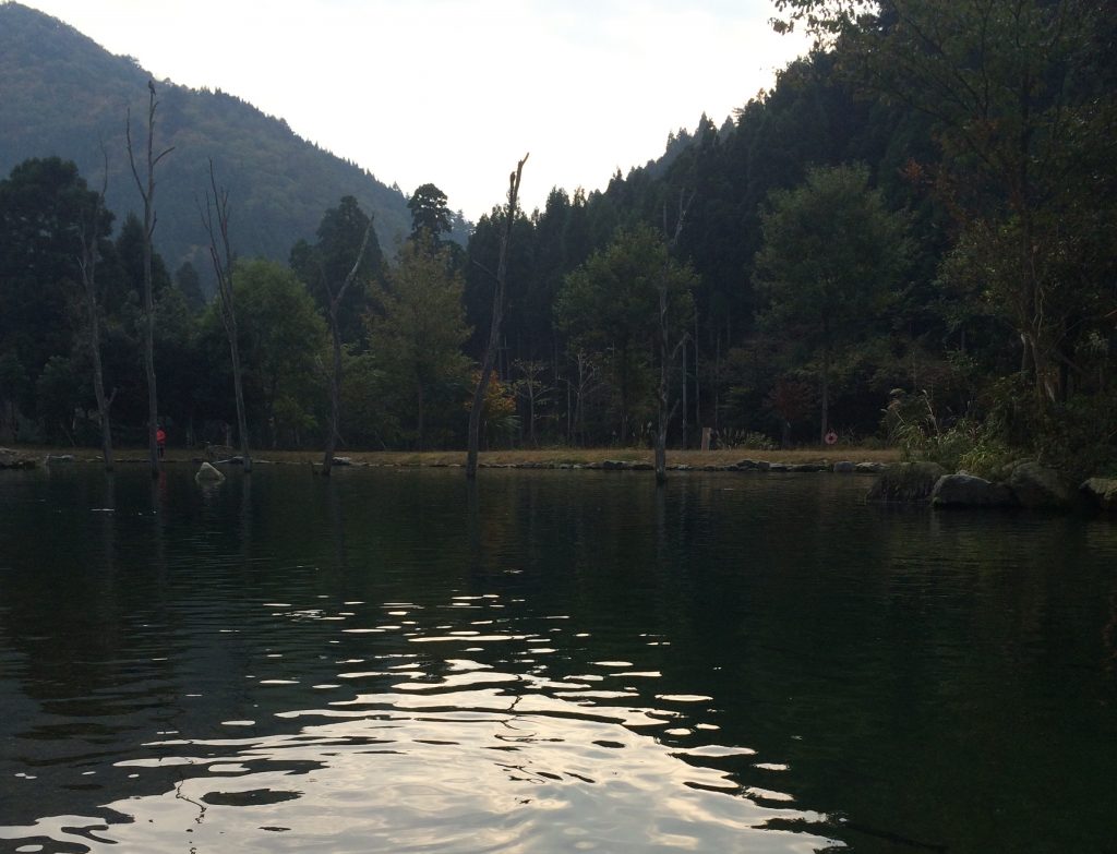 下の池イメージ