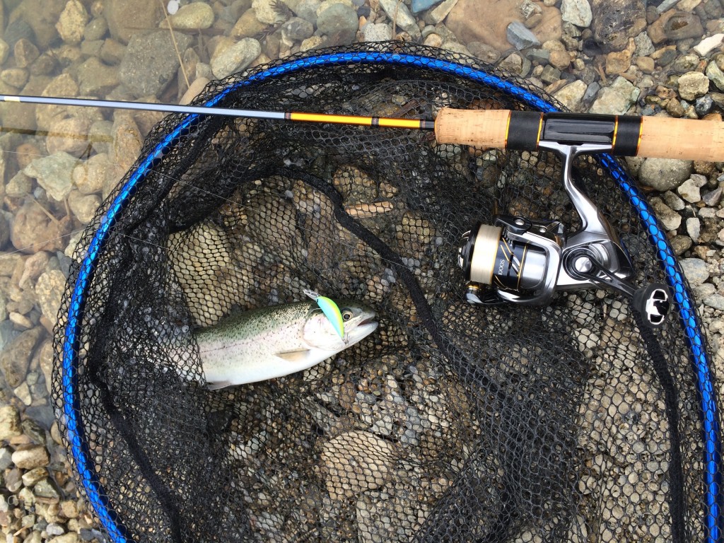 ヴァンキッシュ