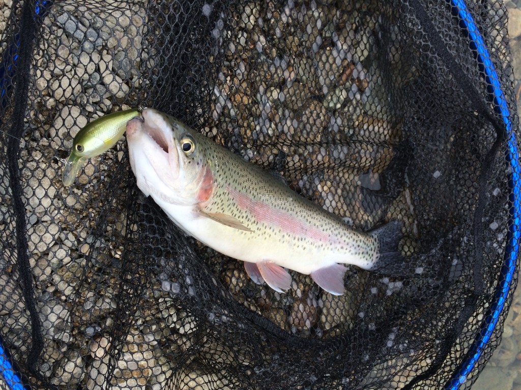 北田原ます釣り場