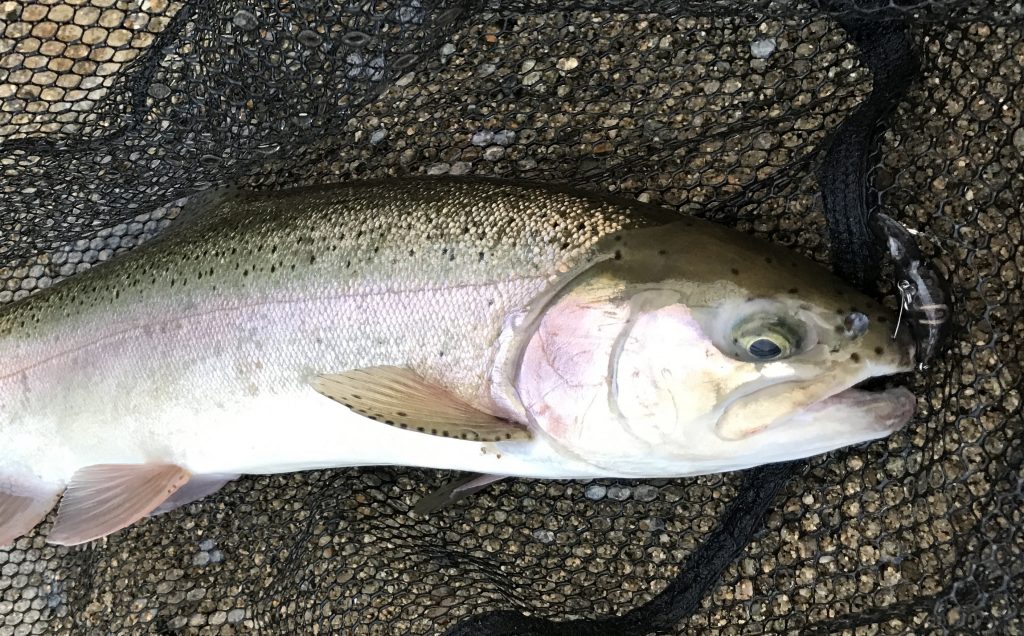 ハードルアーイメージ