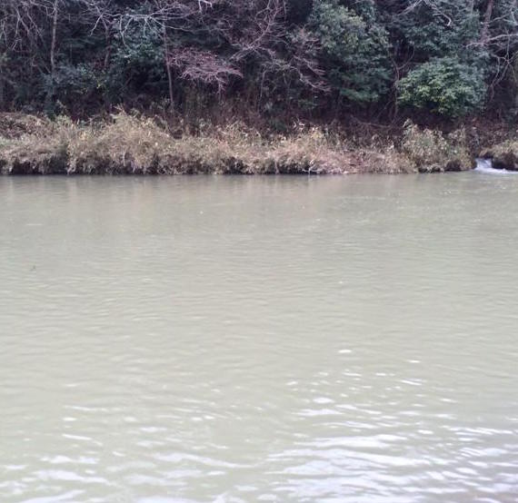 北田原マス釣り場の様子