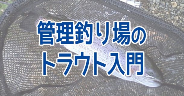 管理釣り場のトラウトフィッシング入門！ルアーやタックルなどを紹介！