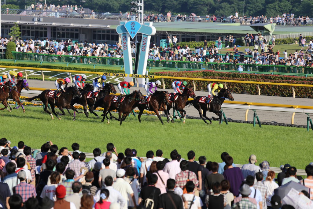 競馬イメージ