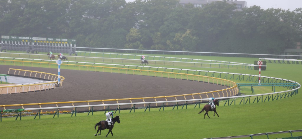 東京競馬場イメージ