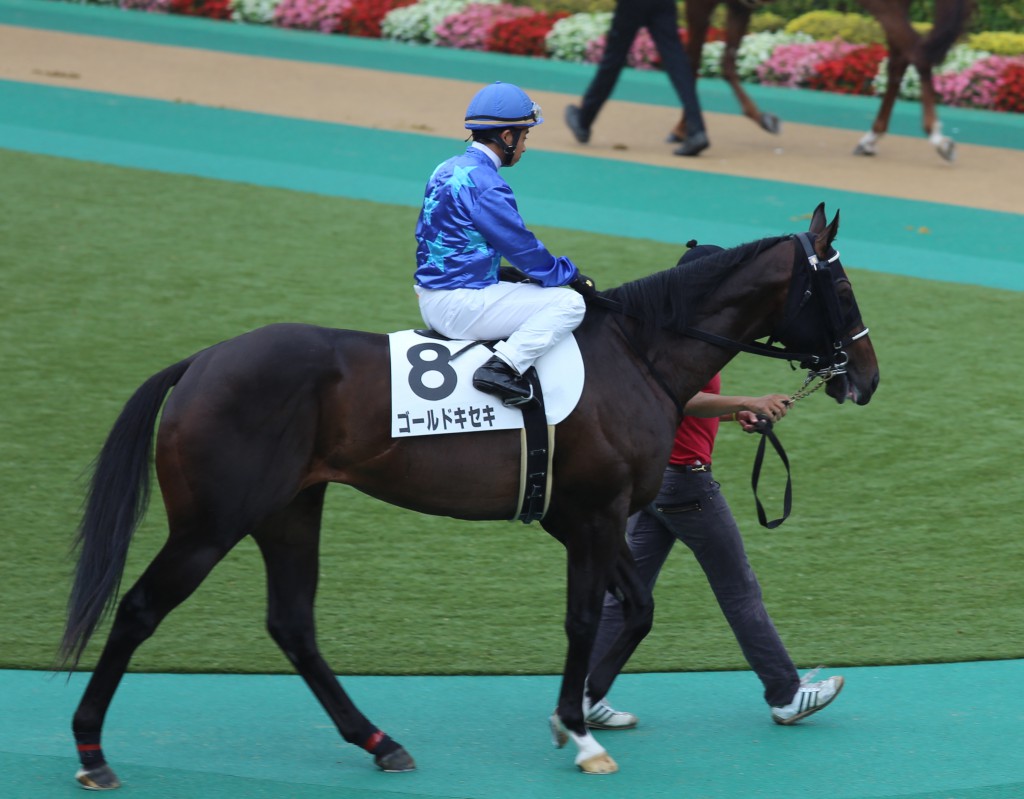 パドックイメージ