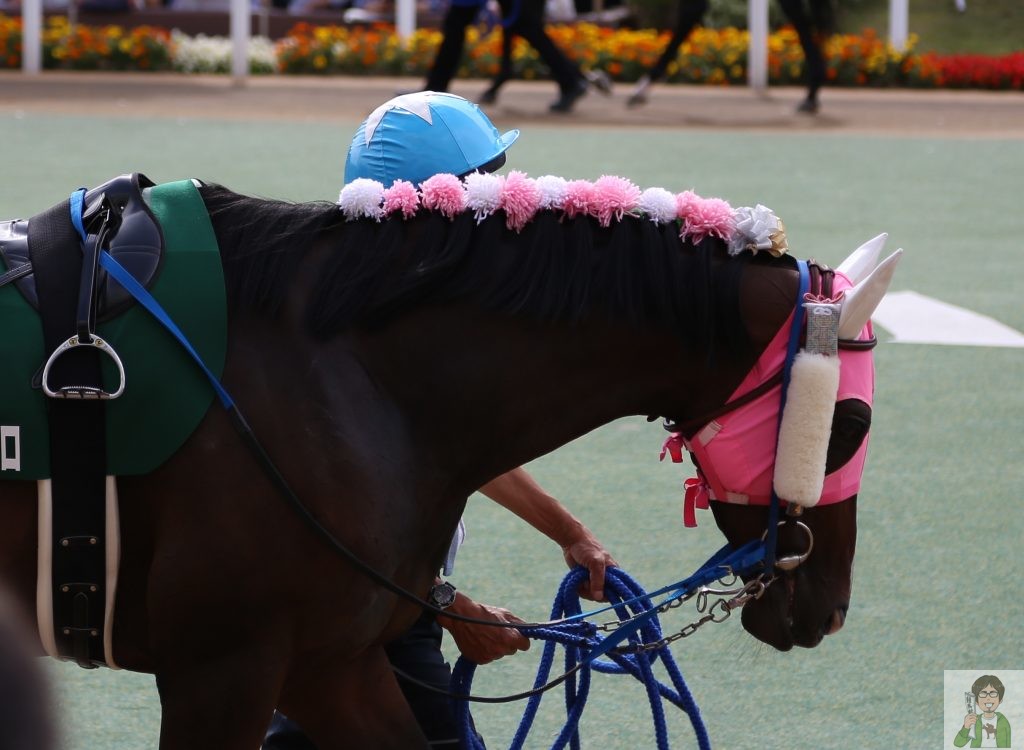 チークピーシーズ