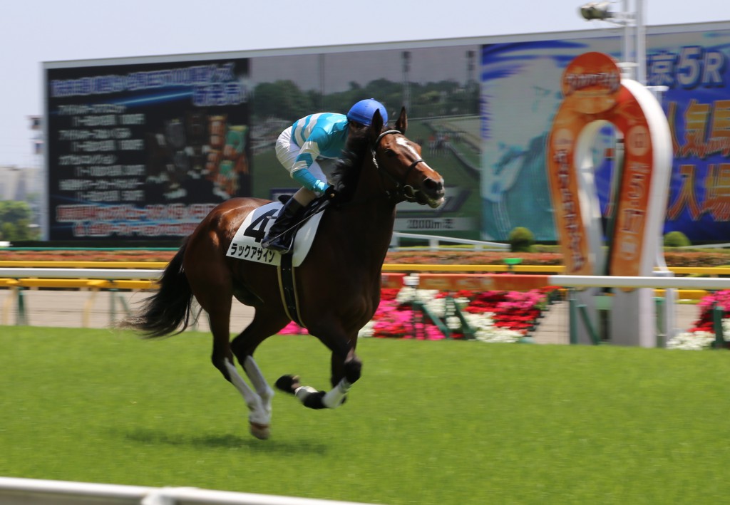 返し馬イメージ