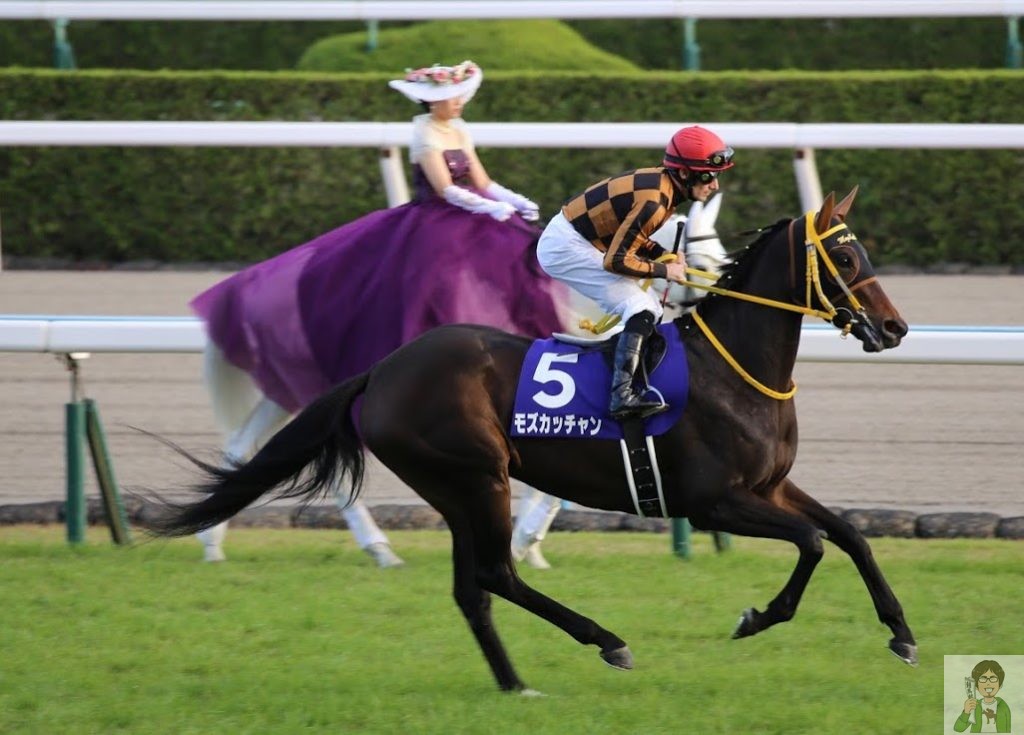 モズカッチャンイメージ