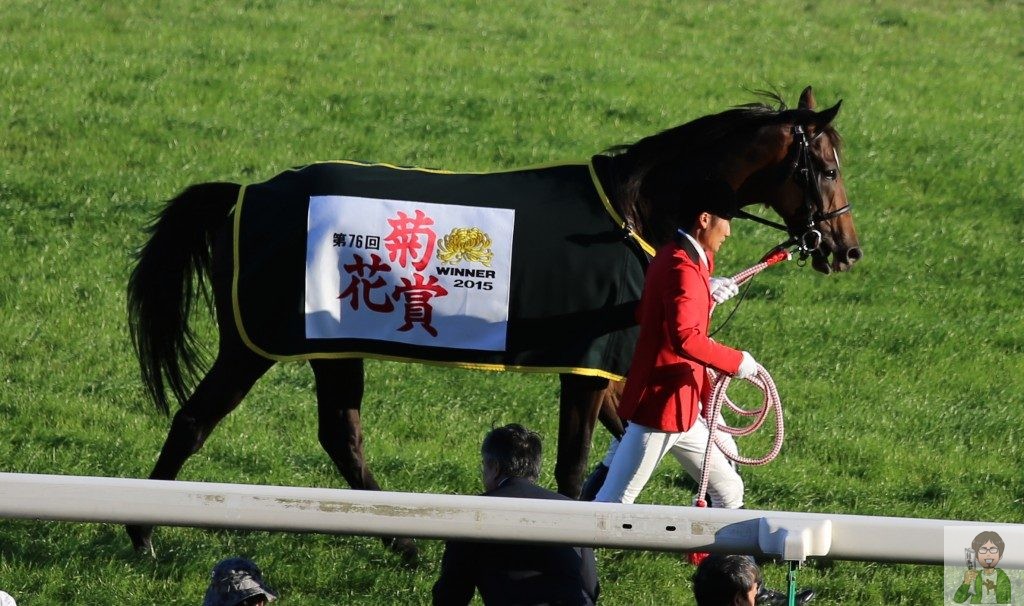 菊花賞イメージ