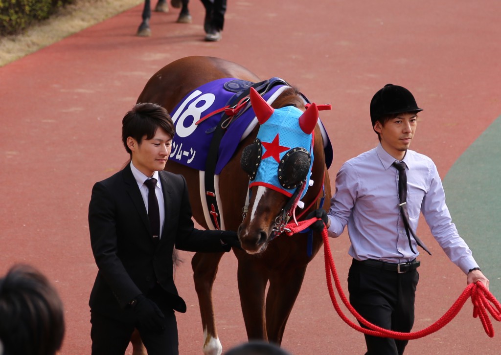 ホライゾネット