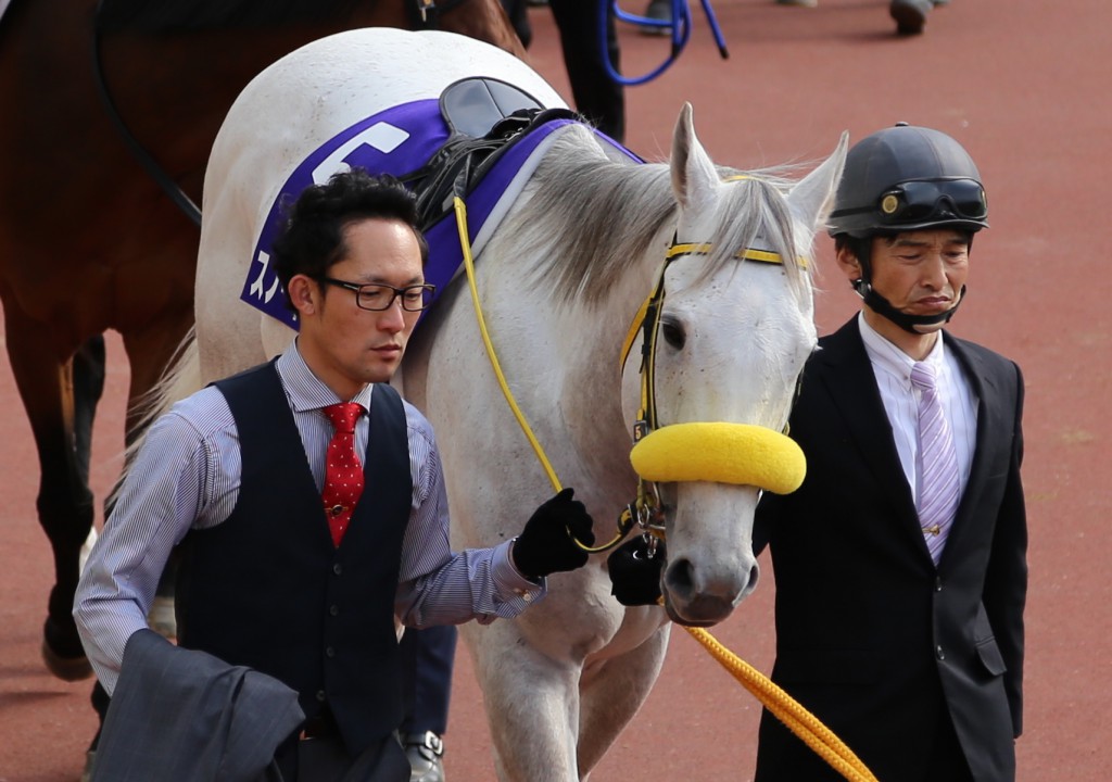 シャドーロール