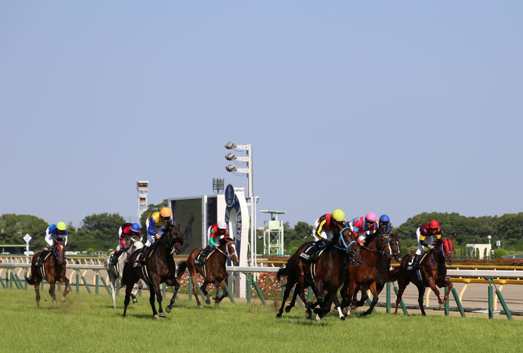 プロの競馬予想師はどれぐらい稼ぐのか？回収率は何％なのか？