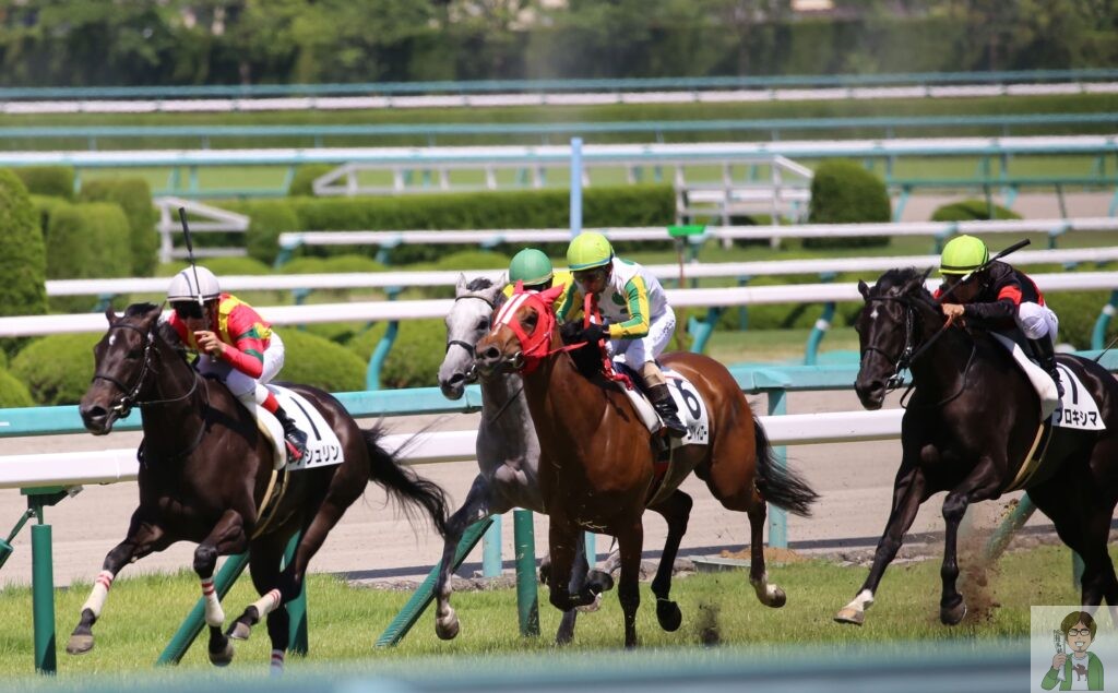 ハイレベルレースとは？何度も美味しい馬券を取れる競馬攻略法について