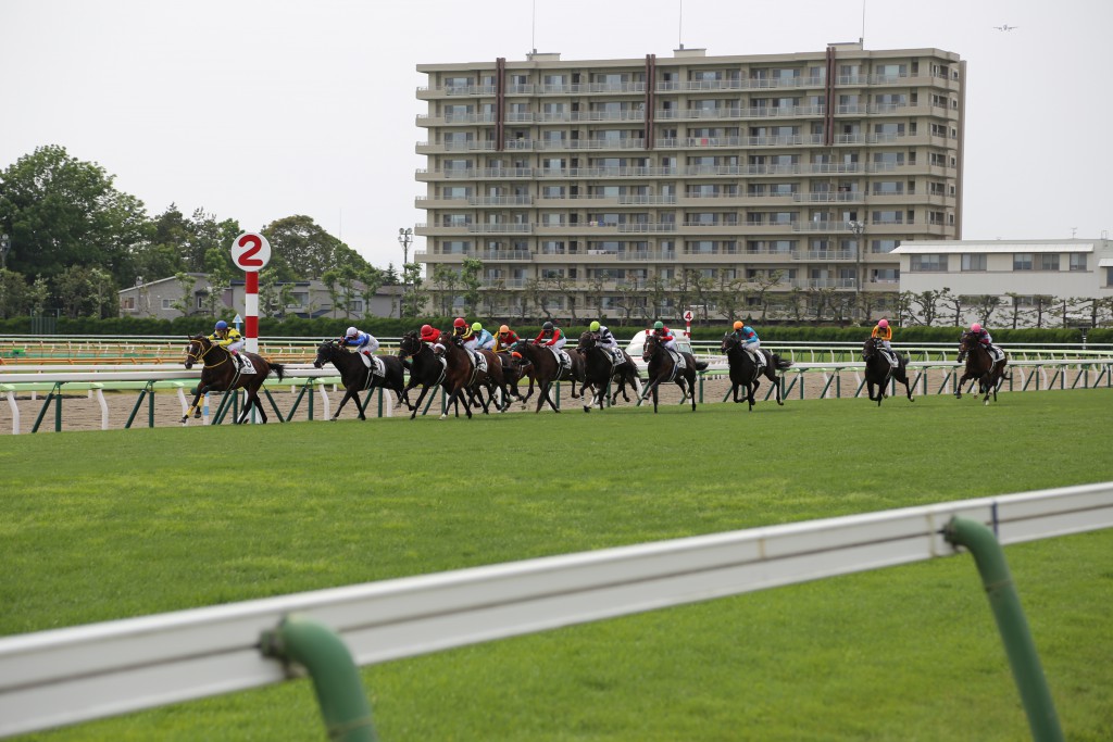夏競馬で当てて儲けるために必要なことまとめ