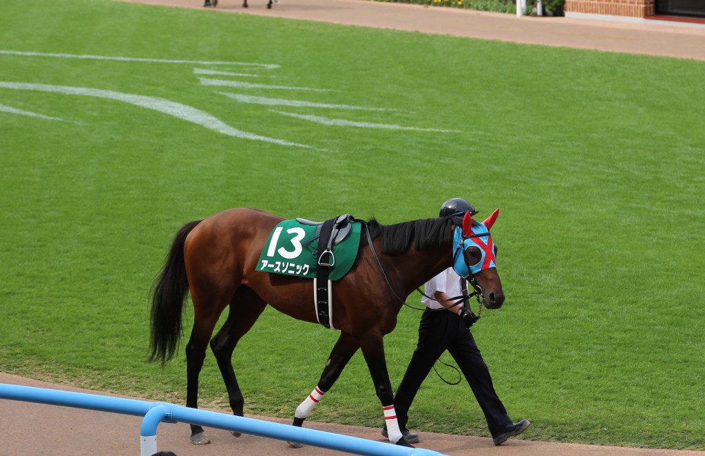 パドックの様子