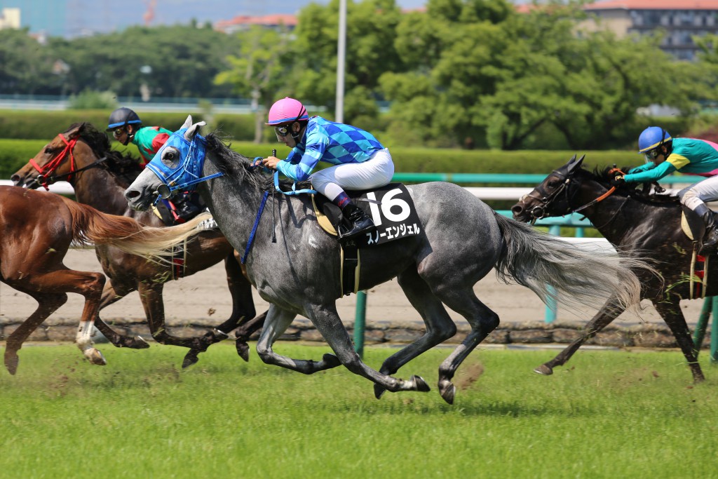 競馬場イメージ