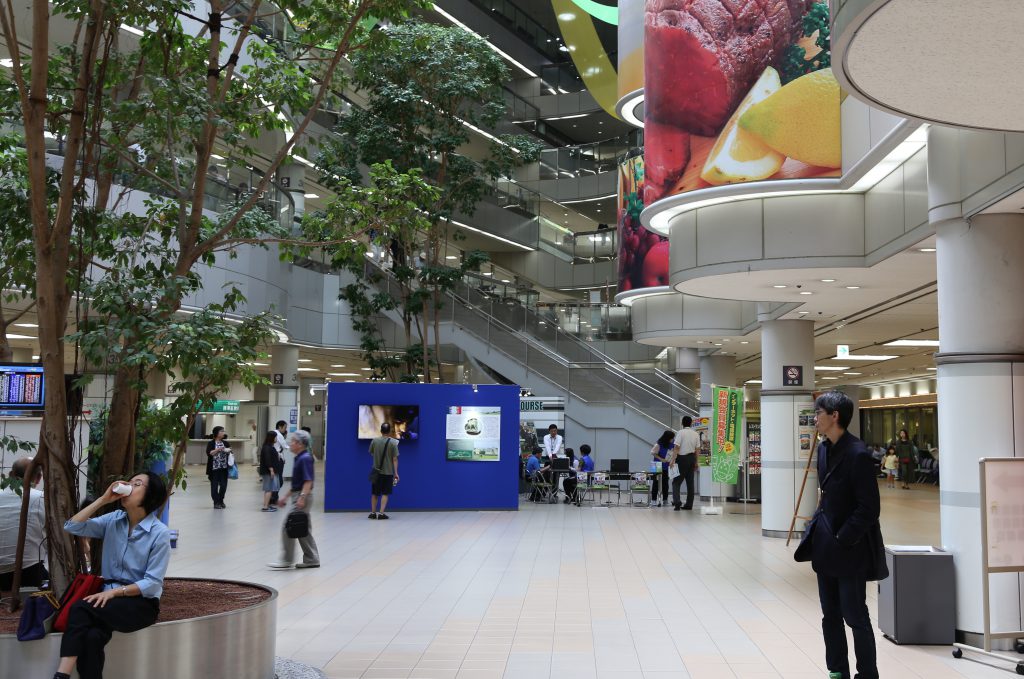 中山競馬場内部